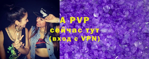 стаф Арсеньев