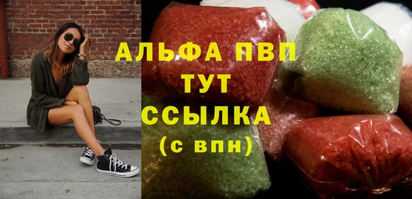 стаф Арсеньев