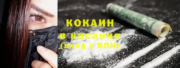 стаф Арсеньев