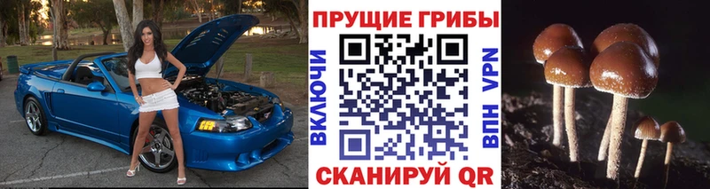 Галлюциногенные грибы прущие грибы  Сафоново 